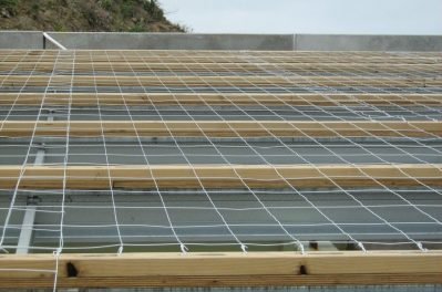 Sydney Roof Safety Mesh